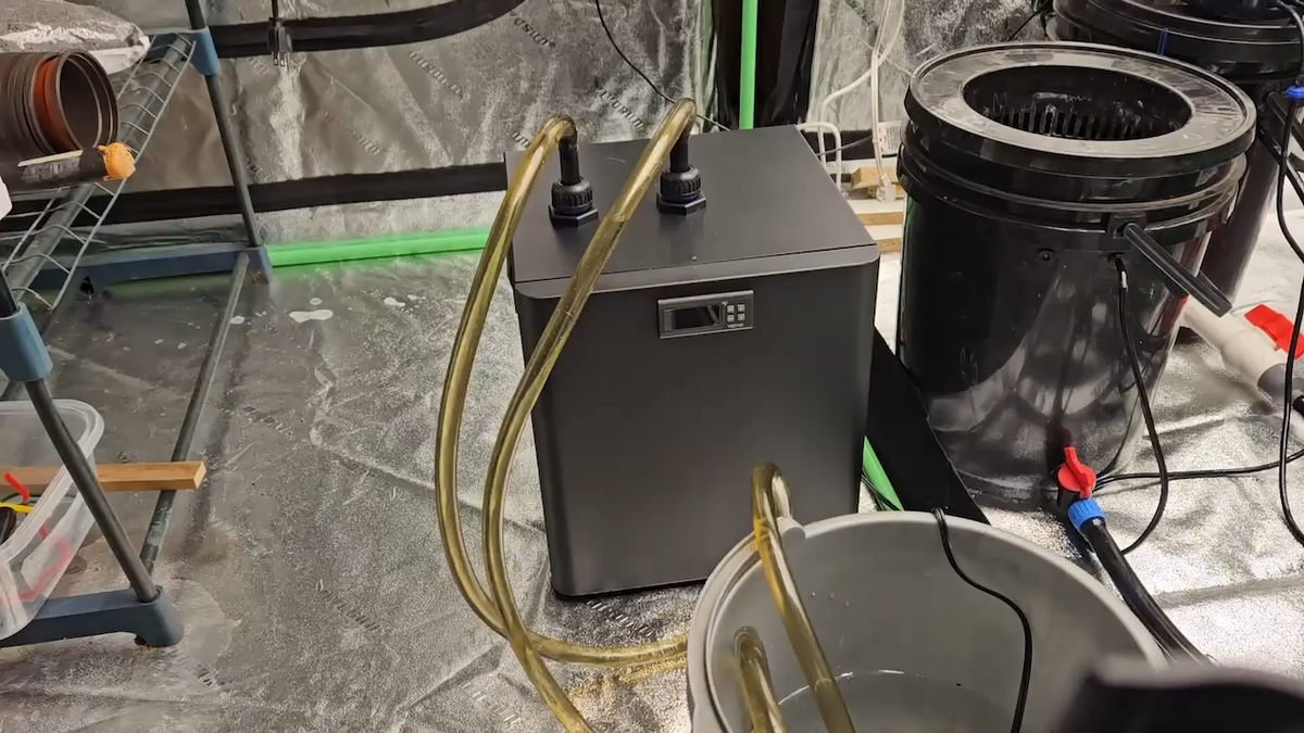 Aquarium Chiller 75gal 1/3 HP Water Chillers for Fish Tank