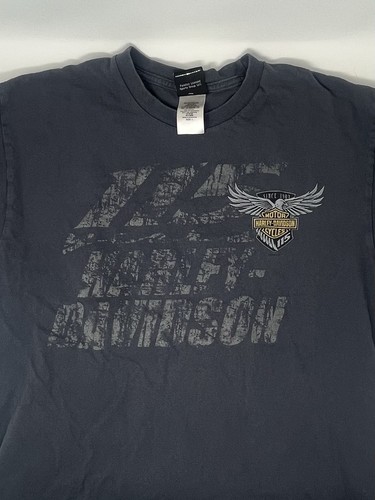 Harley Davidson Asheville North Carolina Gray T Shirt (M/L)