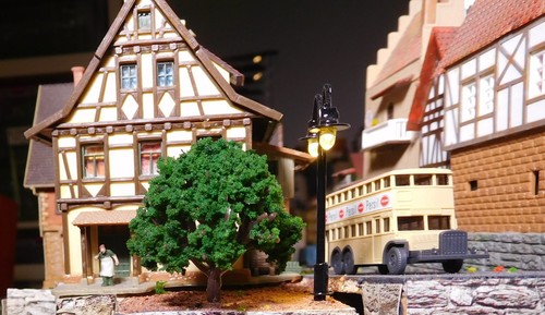 50 Dark Green Deciduous Trees, 40 mm High - Picture 11 of 11