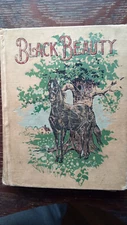 Black Beauty Book Beautifully Illustrated