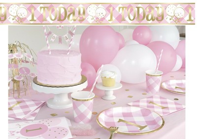 Pink Gingham 1st First Birthday Girls Party Supplies Tableware 
