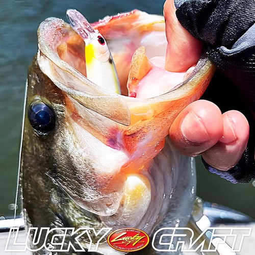 Puntero LUCKY CRAFT 78 - 269 BE Gill (1 cantidad) Jerkbait de alta calidad. - Imagen 6 de 6