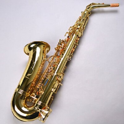 NEW YANAGISAWA A-WO1 Alto Saxophone Eb Brass W/Case Free Shipping