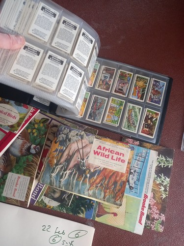 tea cards joblot Album Most Shown Etc - Picture 10 of 24