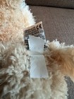 Bild 11 von 13