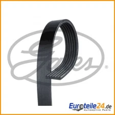 V-ribbed belt Micro-V® GATES 6PK1880 for Audi A6 A4 A8