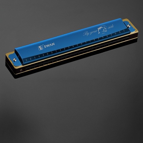 Custom Name Harmonica 24 Holes Tremolo Harmonica Key of C for Musicians Blue - Picture 6 of 12