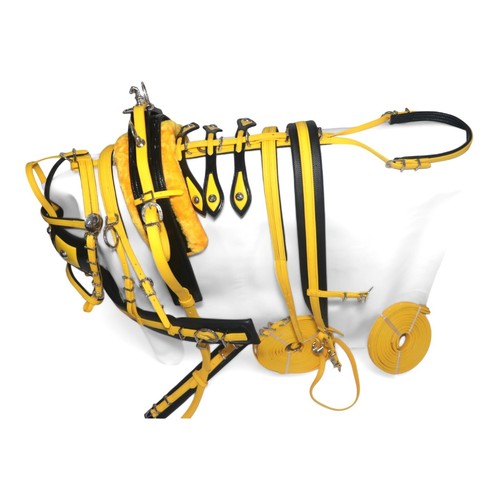 Imbracatura Cavallo Biothane Giallo e Nero Taglia Full Cob Pony Small Pony Shetland - Foto 3 di 8