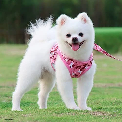 Dog Harness w/ Leash, No Pull Adjustable Reflective Harness with Padded Vest, S