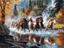 Paint By Numbers DIY Kit Horses Running River 40CMx50CM/16x20 Inch Canvas
