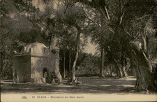 B577 Algeria Blida marabout au Bois Sacre