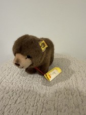 Steiff Browny Bear With Button In Ear And Tags