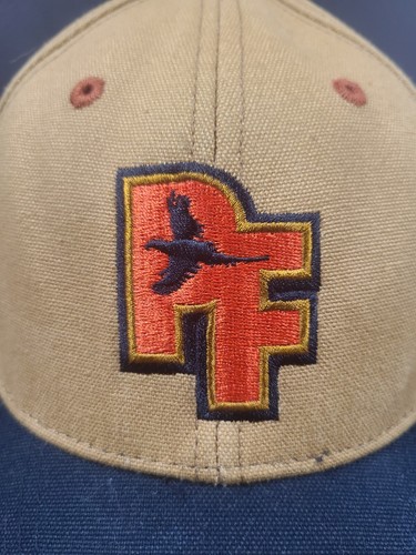 Pheasants Forever Baseball Cap Hat Black Embroidered 100%Cotton Adjustable Strap - Picture 2 of 9