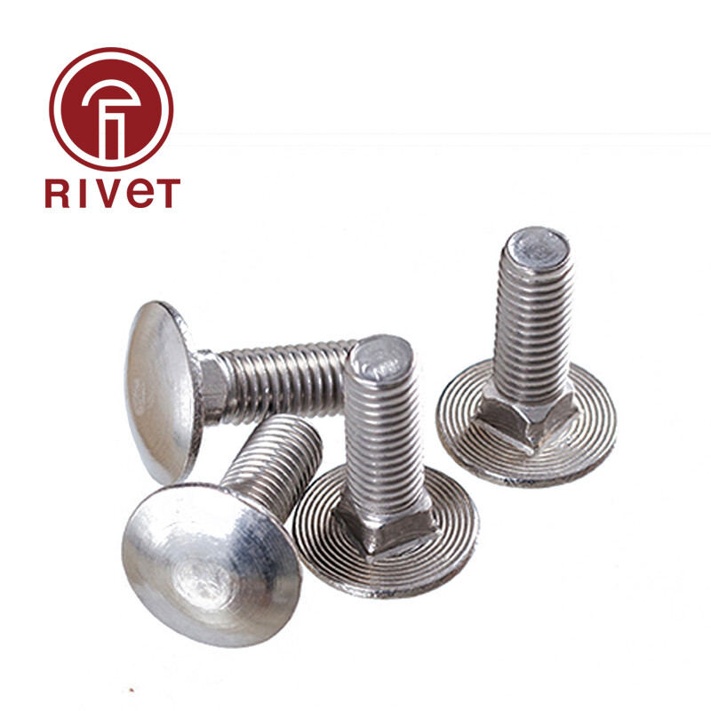 304 Stainless Steel Semiround head square neck bolts M6 M8 M10 eBay