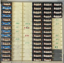 Vivodent S DCL , Frontzahngarnituren, div.Farben, vollständig