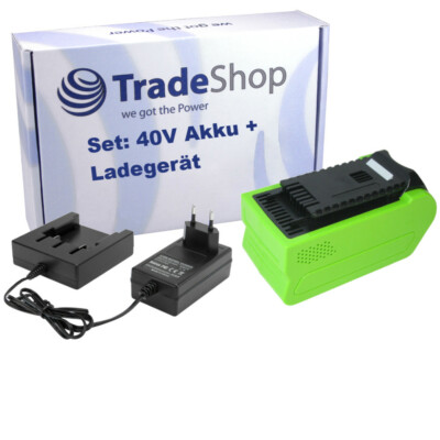 2in1 Set: Akku 40V 4000mAh + Ladegerät passend zu Greenworks 21107 Rasentrimmer