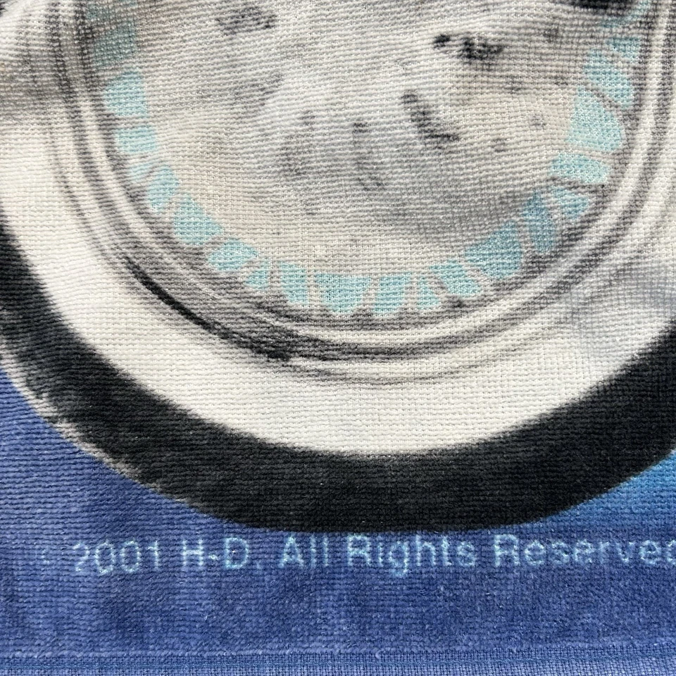 Toalla de playa Harley Davidson 2001 de colección motocicleta estampado azul llamas Foto 4 de 4