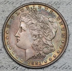 1881-P Morgan Dollar Toned #5ZZV