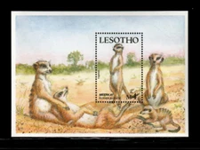 Lesotho 1988 - Wildlife Animals Meerkat - Souvenir Stamp Sheet Scott #659 - MNH