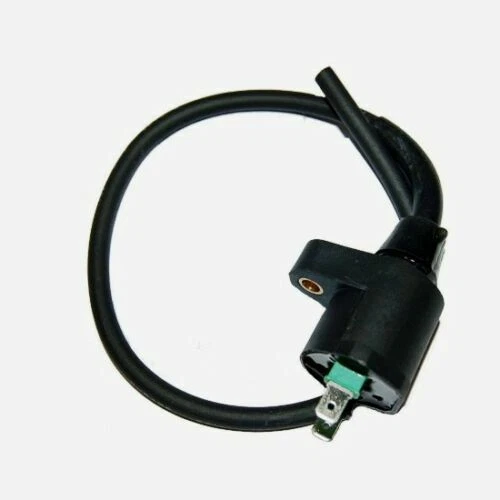 Bobine d'accensione Per Zip per moto