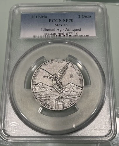 2019 Mexican Silver Libertad 1 oz — photo from another recent sale