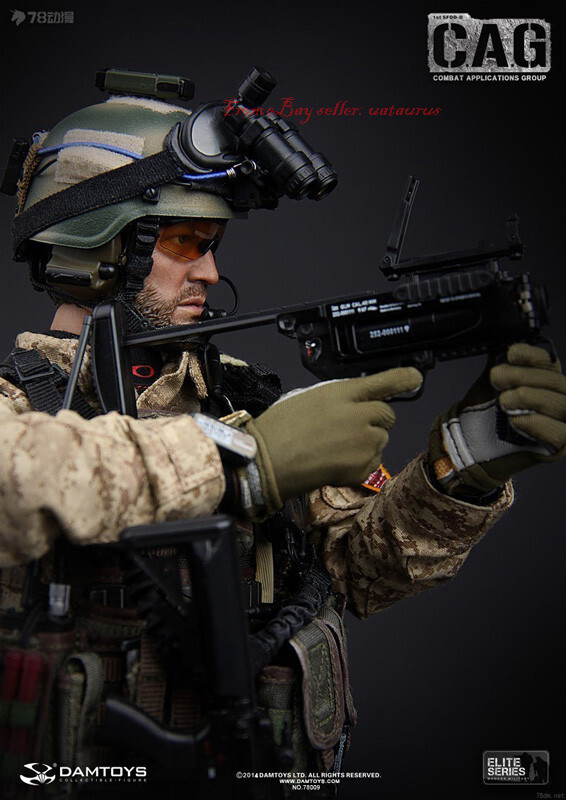 Perfect Damtoys 78009 1/6 Cag Combat Applications Group In Stock