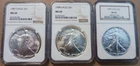 Lot/3 1987-1989 American Silver Eagle NGC MS69 Brown Label