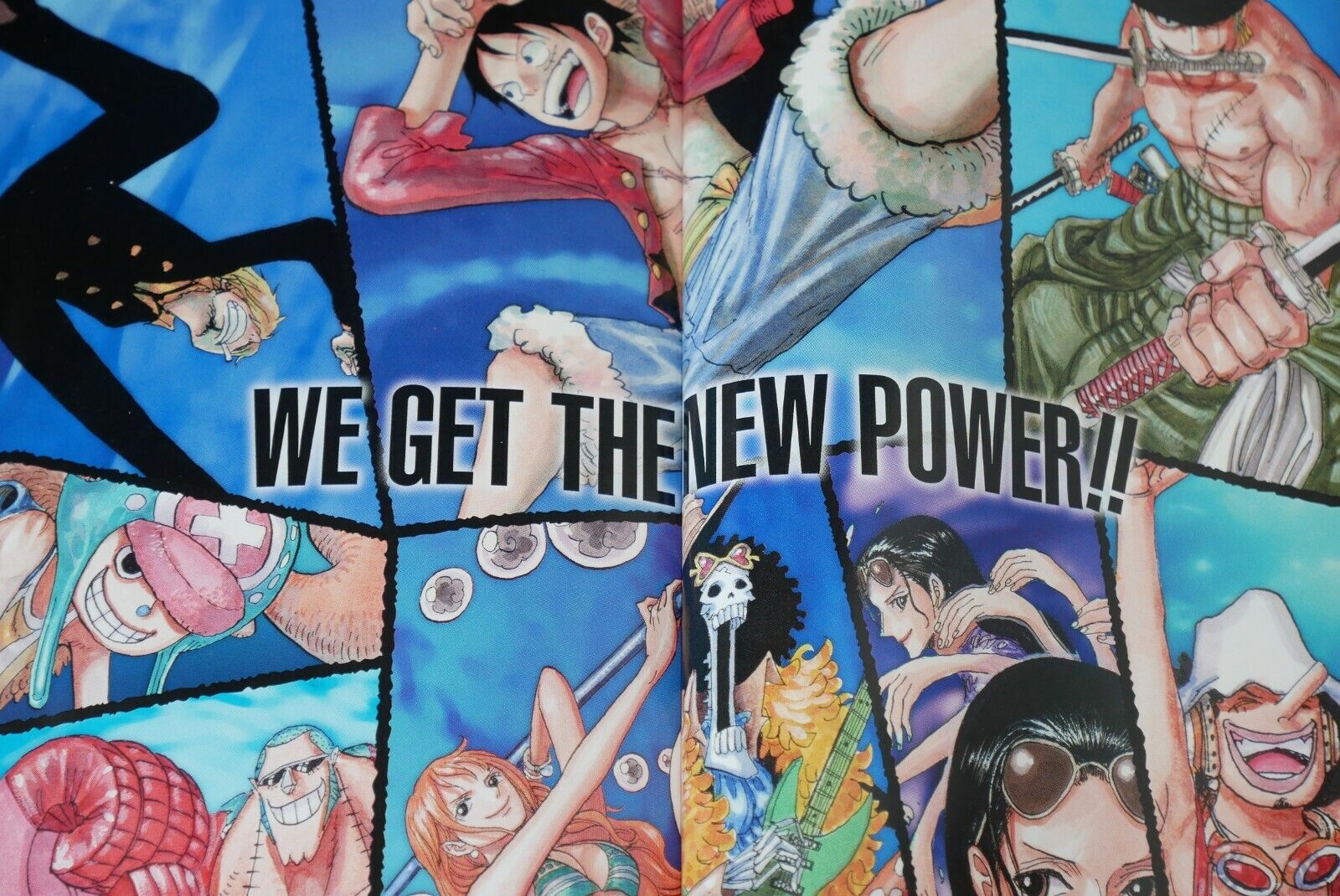 Your Home-Blue in the World of One Piece?