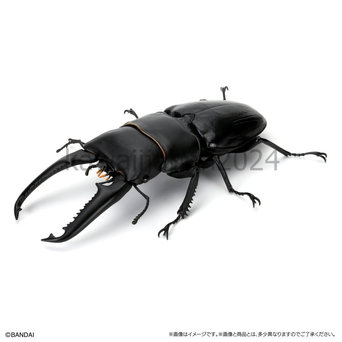 PSL Bandai ikimono Daizukan Kuwagata Stag beetle 08 Gashapon