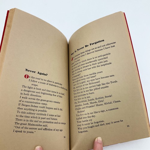 Night of the Broken Glass Poems of the Holocaust Emily Borenstein Softcover Book - Imagen 12 de 19