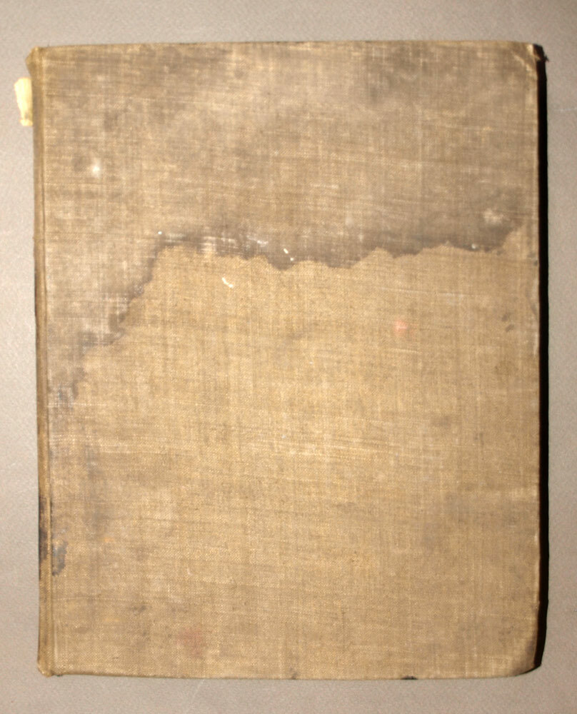 Picture 6 of 6