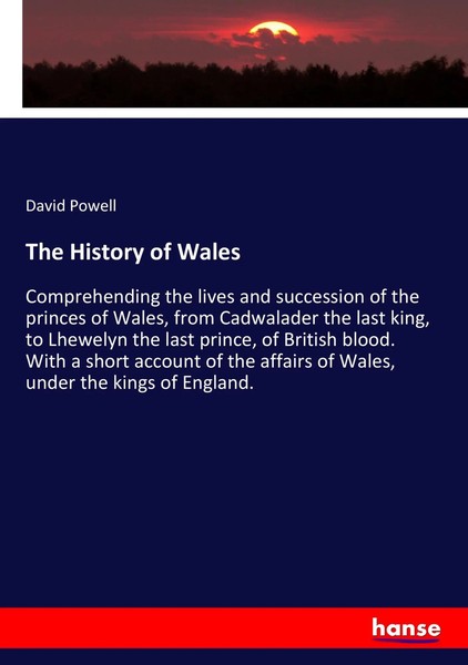 David Powell | The History Of Wales | Taschenbuch | Englisch (2017) | 484 S.-image