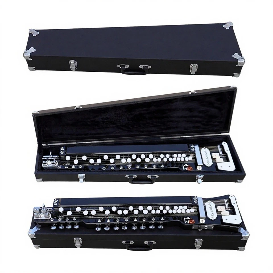 Bulbul Tarang Banjo 29 teclas 14 cuerdas instrumento musical indio con estuche rígido Foto 4 de 4