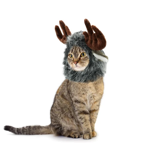 Lion Mane for Cats Funny Halloween Costume for Cats Snoods for Cats - Bild 12 von 42