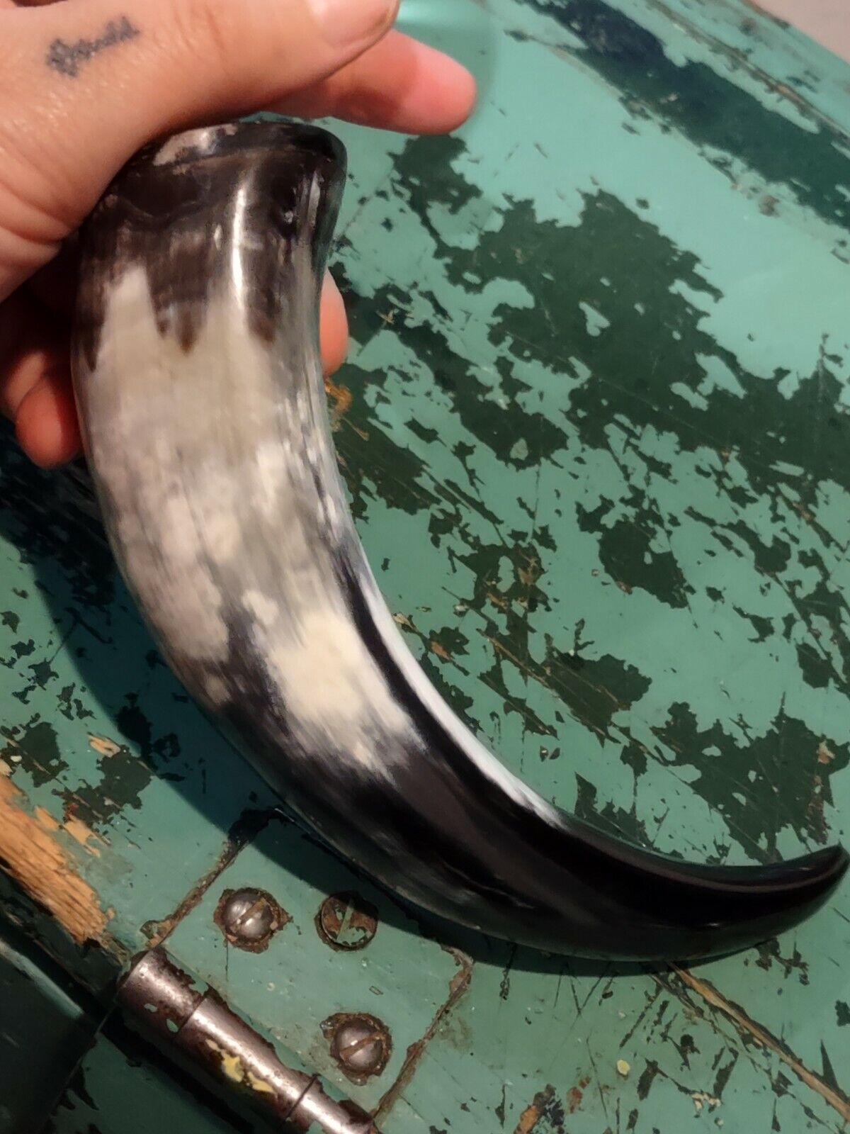 Vintage Real Curved Buffalo Horn Handle Silver Tone Magnifying Glass!