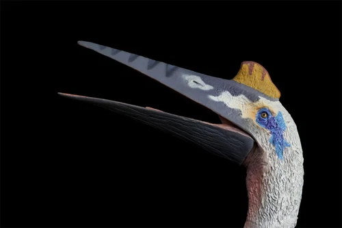 TNG Quetzalcoatlus Model Jurassic Dinosaur Animal Figure Toys Xmas Gift Decor - Picture 22 of 24