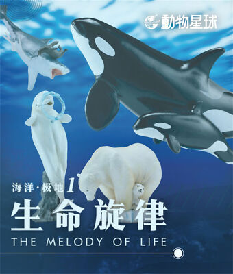Animal Heavenly Body Marine Animal Blind Box The Melody Of Life