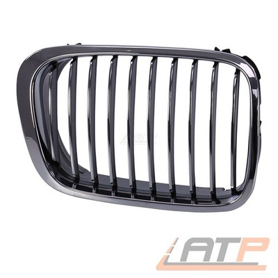 KÜHLERGRILL NIERE KÜHLERGITTER GITTER GRILL ZIERGITTER RECHTS FÜR BMW 3-ER E46