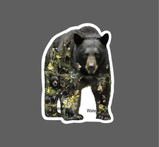 Black Bear Sticker Cubs Nature Life Forest