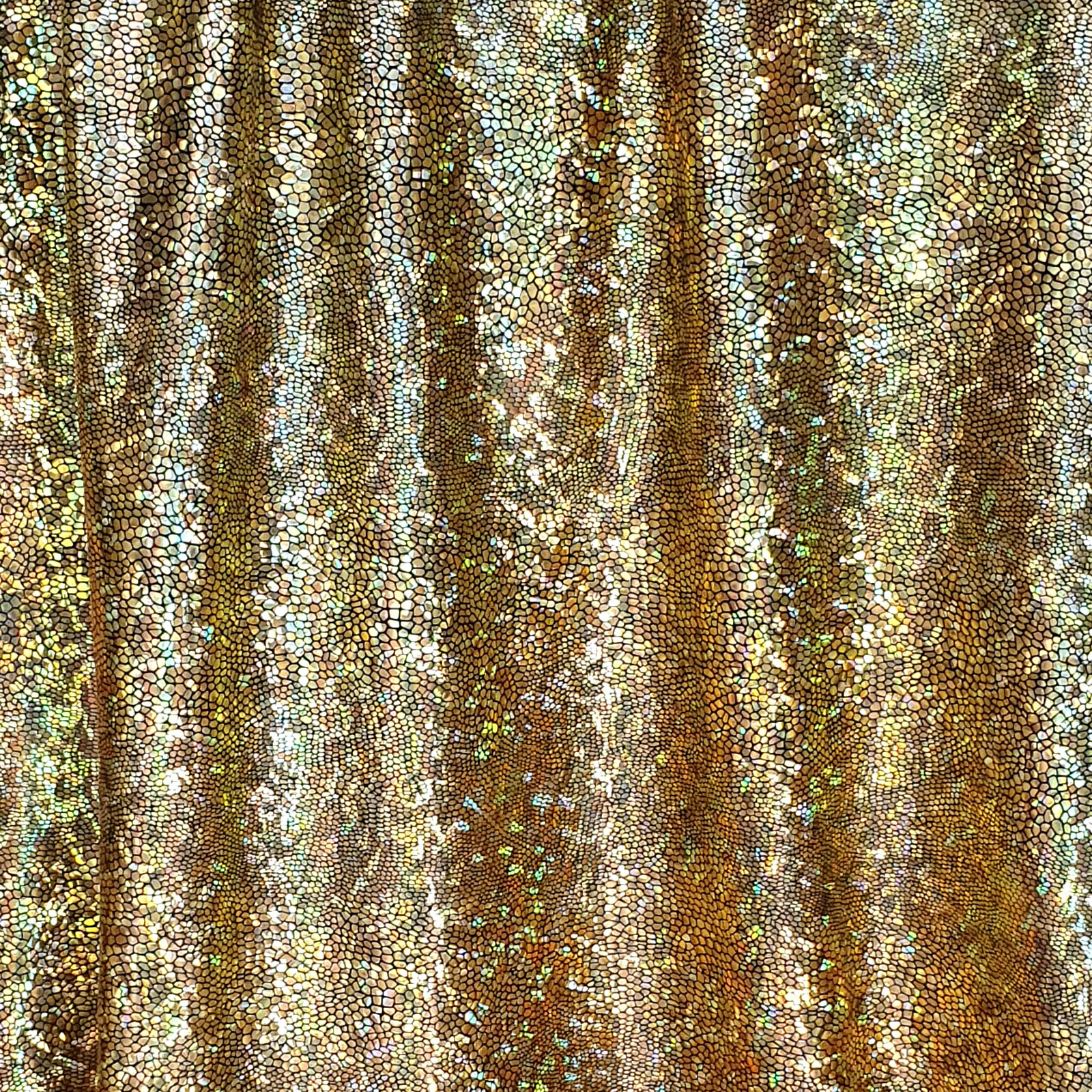 Picture 449 of 975
