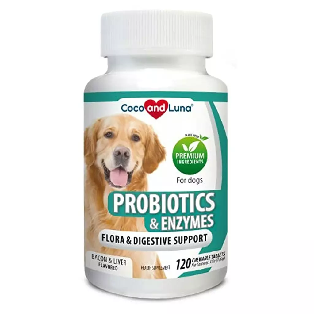 Best digestive hotsell supplement for dogs