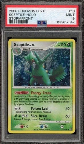 Pokemon Sceptile Stormfront Holo Rare #10 PSA 9 Mint