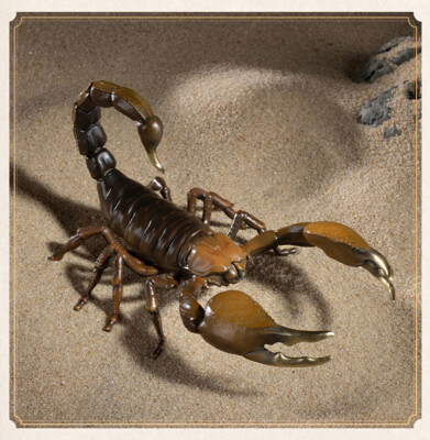 TONGSHIFU Metal Animal Model Yellow Scorpion Copper Collection Decorative Gift