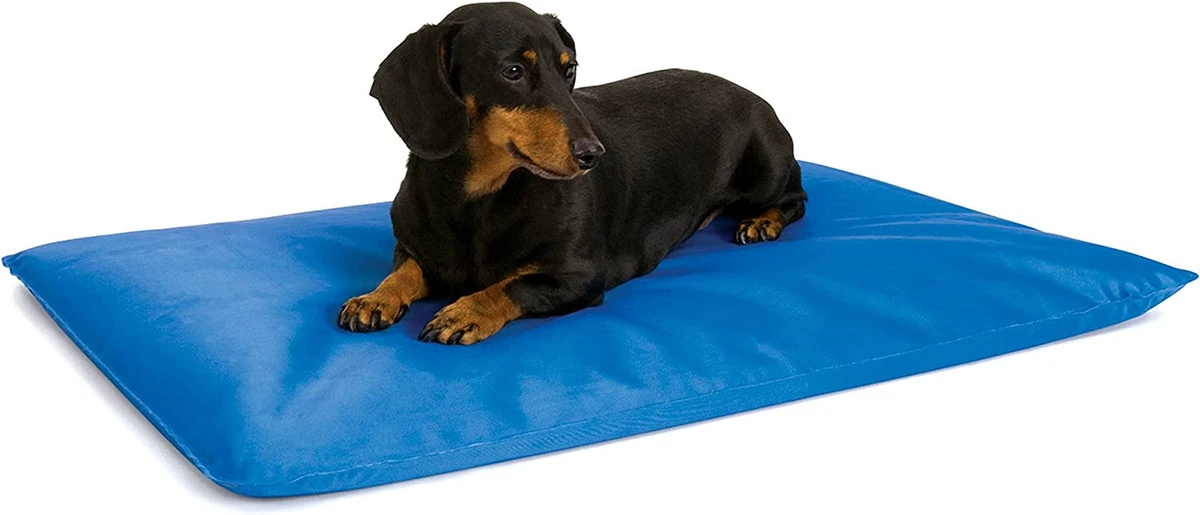 Cool Bed III Dog Cooling Mat Cooling Dog Beds for Small Dogs Dog
