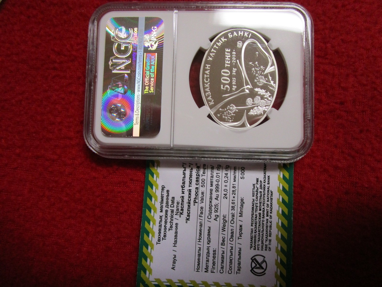 Picture 6 of 7