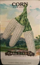 1908 Corn "Black Mexican" Seed Packet - Card Seed Co. Fredonia, N.Y. "NOS"