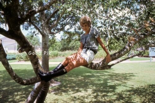#SL40 - Foto diapositiva vintage 35 mm - Giovane donna carina sull'albero - Pantaloni caldi - 1968 - Foto 1 di 1