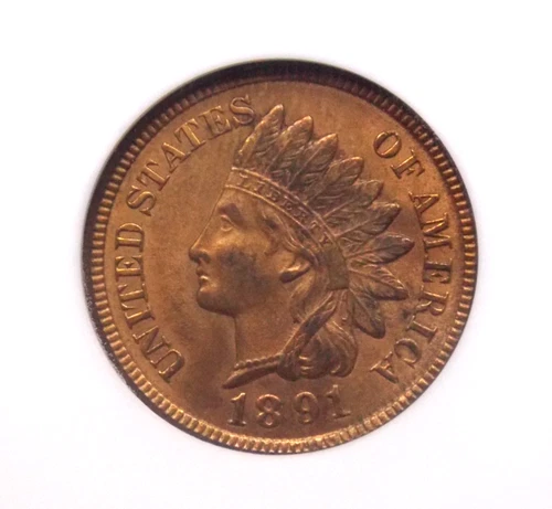 1891 Indian Head Cent Penny 1c NGC MS64 RB #012 Red Brown BU Unc ECC&C, Inc.