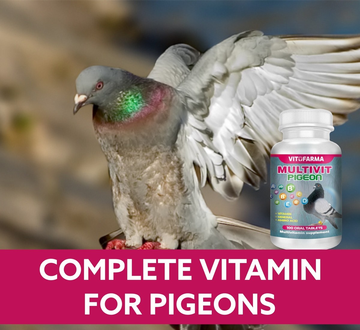 Bird Health Tonic Naturamine Bird Molting Supplement & Tonic For ...