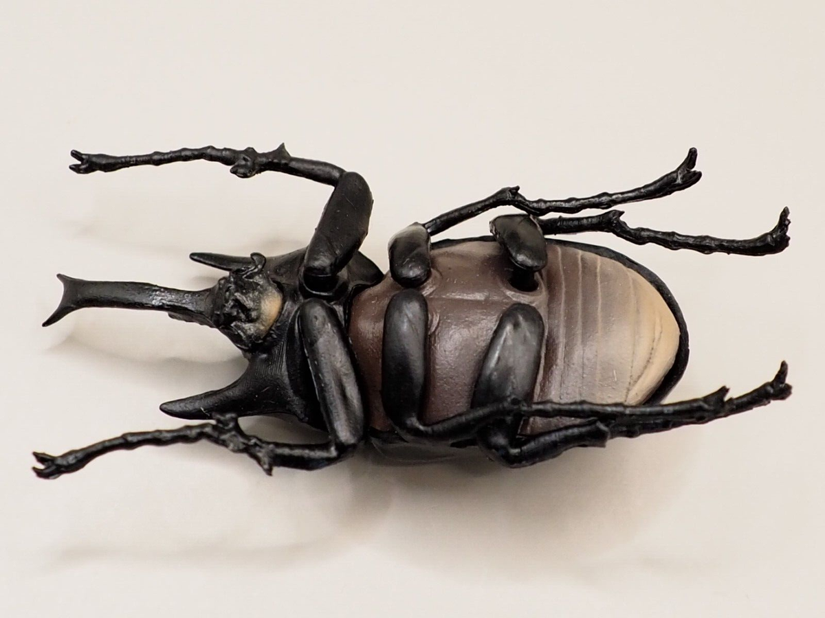 Megasoma actaeon Insect Hunter Figure F-toys Japan T438 | eBay
